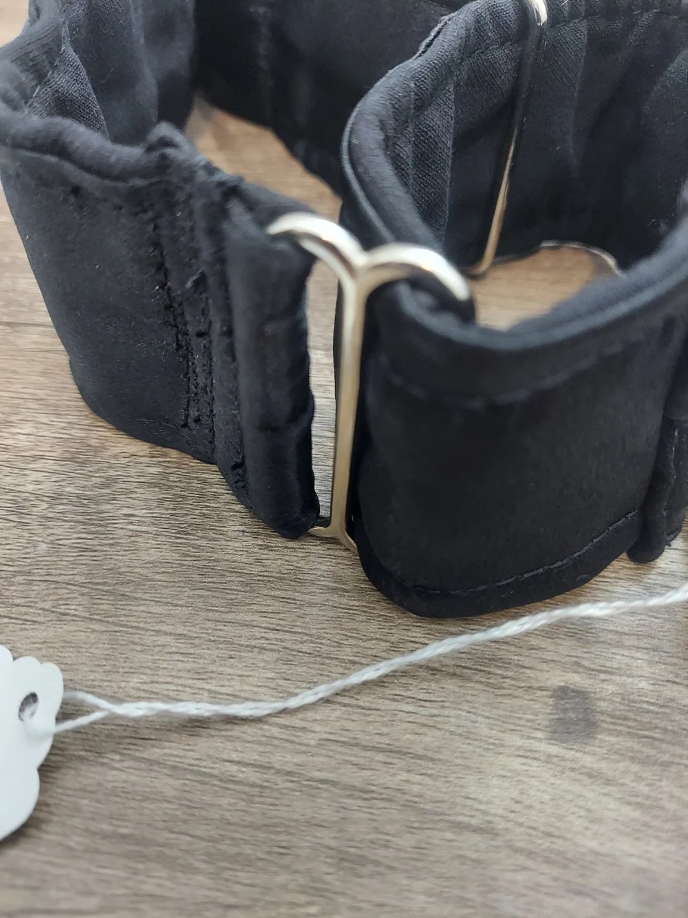 Custom Martingale Dog Collar 2